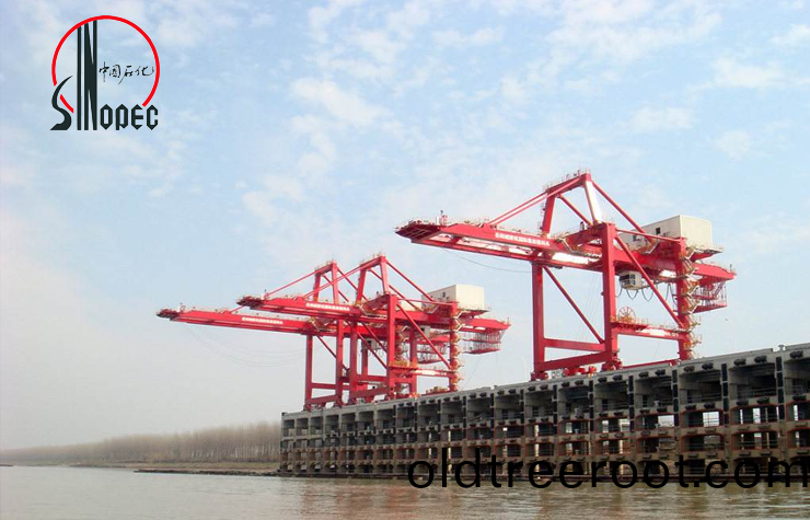 中(zhong)國(guo)石化